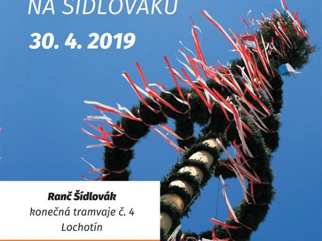 Májka 2019